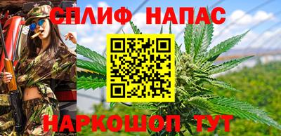 МДПВ Ирбит