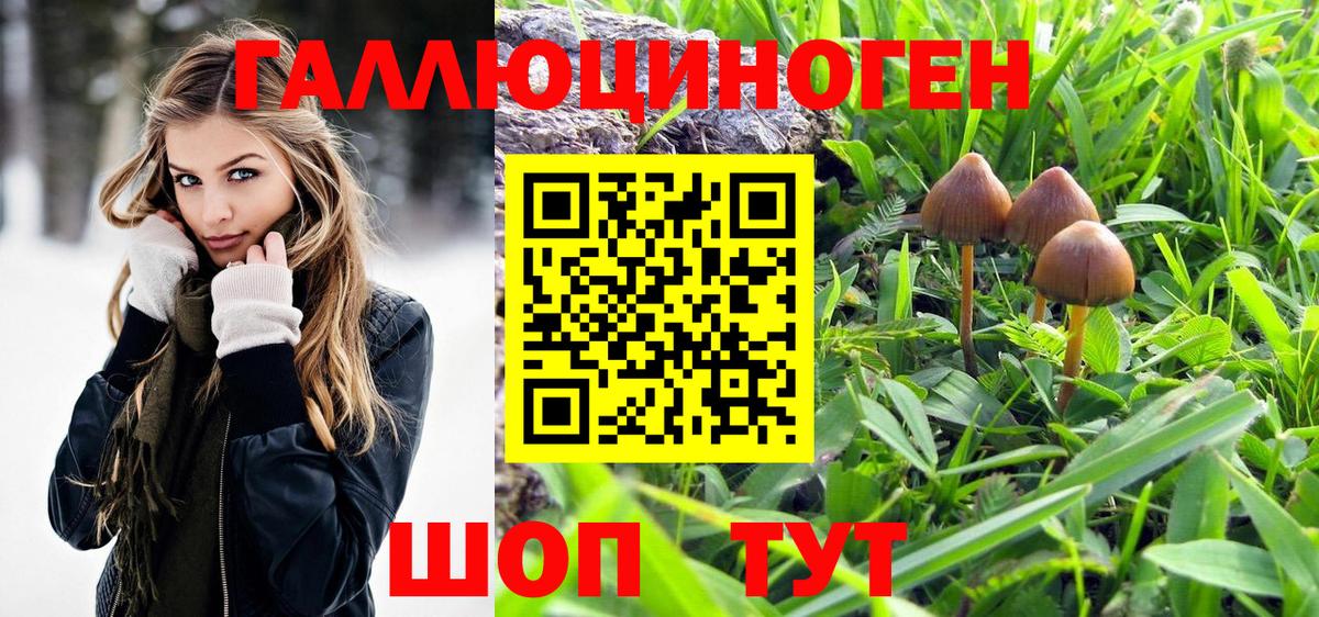 Котовск  Псилоцибиновые грибы Psilocybe  хочу   Вход с VPN 