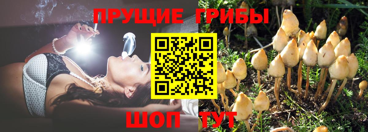 Галлюциногенные грибы мицелий Котовск